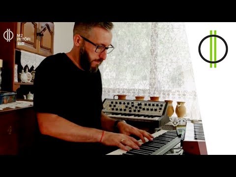 Vághy Tamás Hámori Session projektje