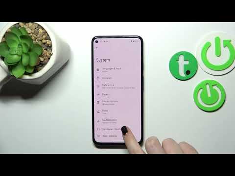 How to Activate Developer Options on GOOGLE Pixel 5a?