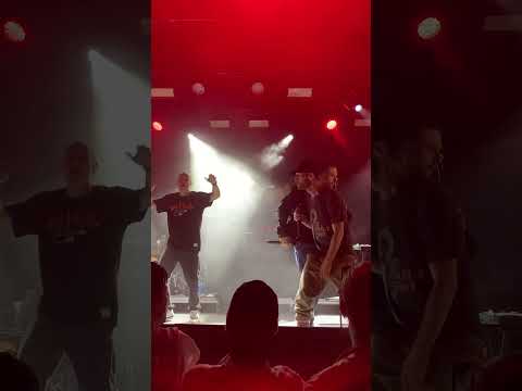 Petter, Eye n’ I, Thomas Rusiak, PeeWee - Hiphopper, Live Mosebacka Stockholm 2023-08-26