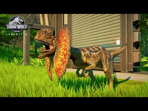 Dilophosaurus! A Tiny Carnivore That Can Spit out Poison - Jurassic World Evolution