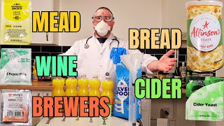 Fermenting orange juice with 5 different yeast strains. Cider, white wine, brewers, bread and mead.