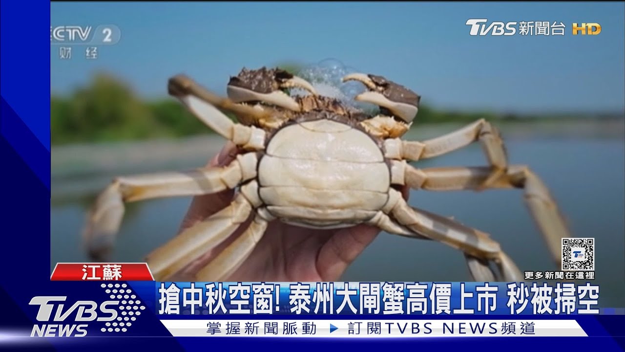 陽澄湖大閘蟹「爽約」中秋 泰州蟹搶占空窗期