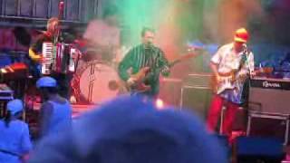 Spider Murphy Gang Sommer in der Stadt Gräfelfing 2010