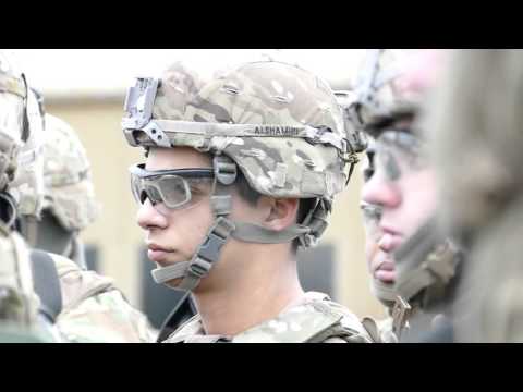 Cougar Squadron deploys to Hohenfels for multinational training during Allied Spirit IV