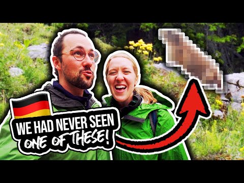 AMERICANS CAPTURE GERMAN WILD ANIMALS IN THE ALPS (Part 2/2)