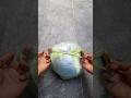 How to TIE Plastic bag in strong and safe way without any rope #lifeskills #tips #tricks