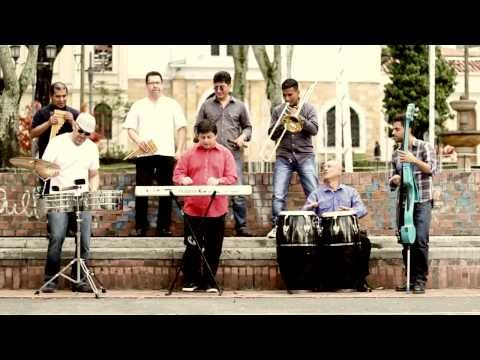 TRIGO NEGRO - TRANSICIÓN