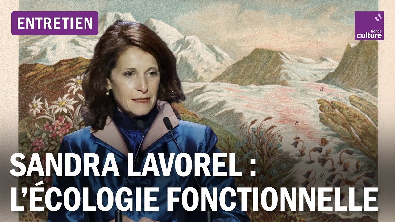 Comprendre l'écologie fonctionnelle avec Sandra Lavorel, médaille d’or 2023 du CNRS