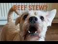 Deefa And The Beef Stew Incident