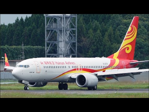 Hainan Airlines Boeing 737-800 737 MAX 8 Landing at Narita 34R | B-7619 B-207K | NRT/RJAA | 海南航空