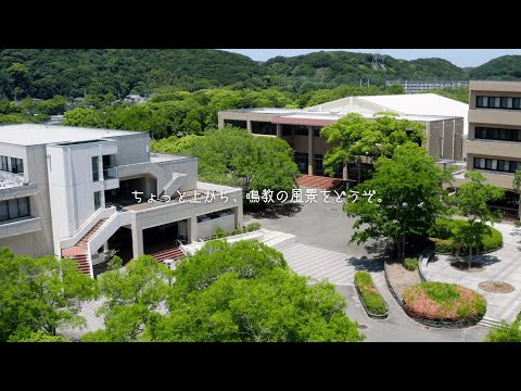ちょっと上から、鳴教の風景をどうぞ。part2