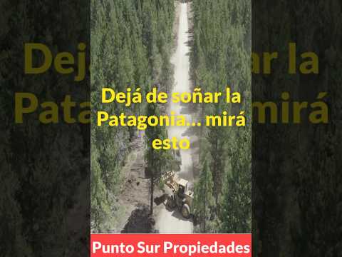 Invertí en el sur 🌿 | Cipreses del Sur  #patagonia #lotes