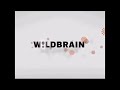 The 2007 Wildbrain Sound Effect