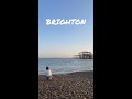 Should I live in Brighton, UK? 🌊