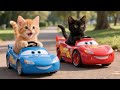 Mama Cat Trims Fur On The Farm And Makes Tiger Hat For Kittens At Home