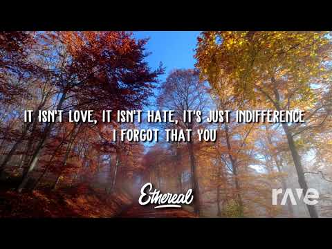 I Boom That You Existed - Taylor Swift & Tiësto With Gucci Mane & Sevenn | RaveDj