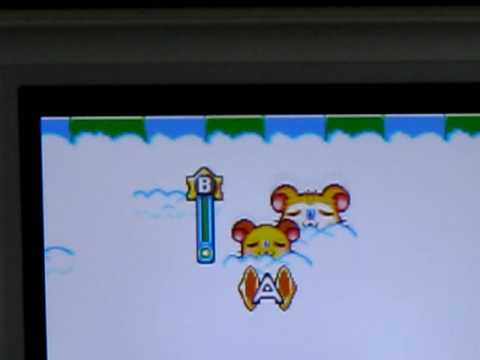 hamtaro ham ham heartbreak gba