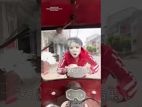¿Por qué este perro roba mi comida todos los días? #VideosDivertidos