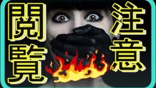 【腹筋崩壊】アルゼンチンの常識は、日本で通用するのか?面白すぎで魂がよじれるニャンargentine maniaチャンネル登録