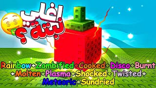 جربت ازرع اندر نبتة في التحديث الجديد و اجيب عليها كل التطويرات ???? / grow a garden