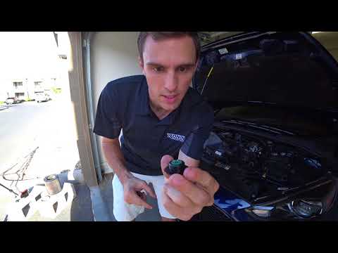Ford Focus ST & RS Cheap Modification