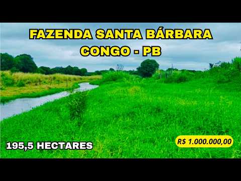 🌾 FAZENDA SANTA BÁRBARA – RICA EM ÁGUA E COM GRANDE POTENCIAL AGRÍCOLA 🌾