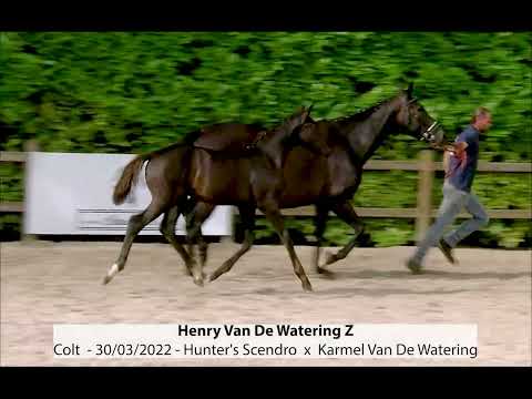 Henry Van De Watering 