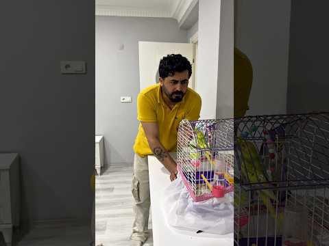 Evde kuş bakıyor musunuz ?