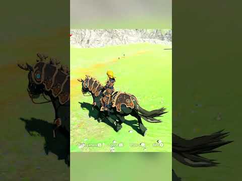 Ancient Saddle & Bridle Guide: Unlock Epic Horse Gear in Zelda: Breath of the Wild!