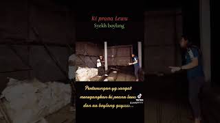 Download lagu ki prana lewu vs syekh boylang #boylangofficial #kipranalewu mp3
