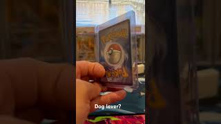 Anyone have a dog like this? #obsidianflames #pokemoncards