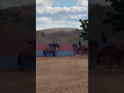 VAQUEJADA EM CHORROCHO NA BAHIA!#vaqueiro #vaquejada #foryou #fyp#viral