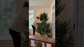 🎄Realistic Artificial Christmas Trees - Nowegian Pre-Lit Tree - Décors