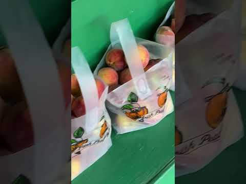 Homemade Peach ice cream on our way to Charlotte was delicious. At Pee Dee Orchards