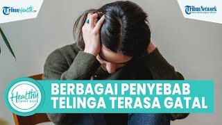 Berbagai Penyebab Telinga Terasa Gatal Tiba-tiba, Satu di Antaranya Adanya Penumpukan Kotoran