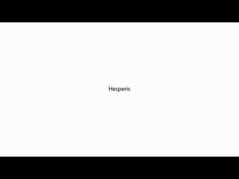 Hesperis PRONUNCIATION