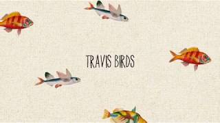 Travis Birds. &quot;Humo&quot; (acústico).Video Lyrics