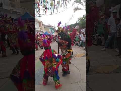 Baile de Venado  En San José La Arada Procedentes de Senahú Alta Verapaz (Contrabanza)🐯🦁🐵🐒🦌...