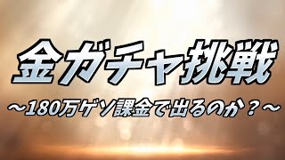 金ガチャ挑戦 ～180万ゲソ課金で出るのか？～