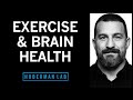 How To Use Exercise To Improve Your Brain S Health Longevity Performance