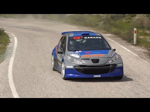 Hakkı Ağaoğlu - Erkan Güleren | Peugeot 207 S2000 | 2019 Obel Cıvata Ege Rallisi