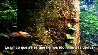 Canción de la Tierra ( Earth Song)-Michael Jackson/Subtitulada en Español