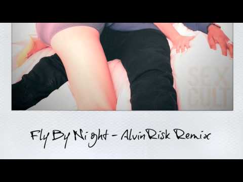CEREBRAL VORTEX 'FLY BY NIGHT' (ALVIN RISK REMIX)