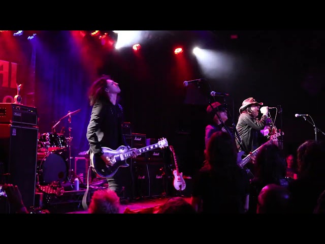 Video preview