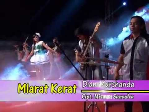 mp3 dangdut koplo lebah berbisa