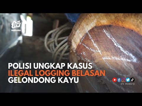 Lagi, Polisi Ungkap Kasus Ilegal Logging Belasan Gelondong Kayu Sono dari RPH Kemantren