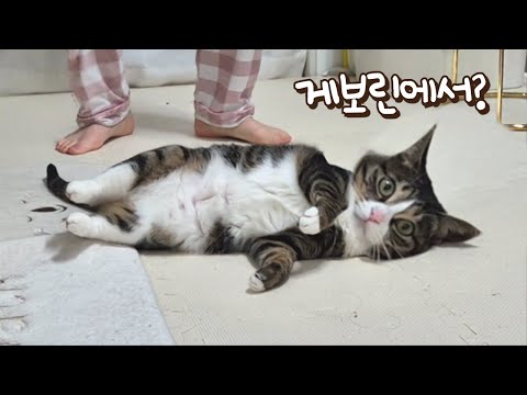큰언니가 춤추는 모습을 처음 본 보름이 반응ㅋㅋ