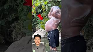 Download lagu Pesona bapak bapak dengan perut buncitnya mp3 Download lagu Pesona bapak bapak dengan perut buncitnya mp3