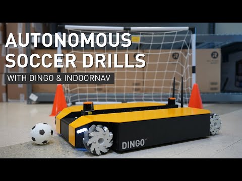 Dingo Indoor Mobile Robot