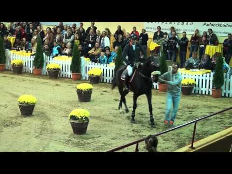 Der Reitbiathlon - ein sportliches Highlight